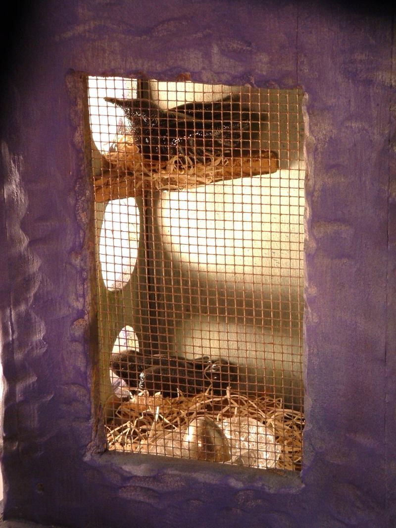 Nest Box Detail
